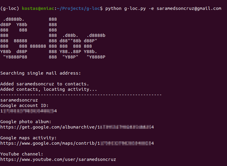 Screenshot of script execution using saramedsoncruz@gmail.com as input