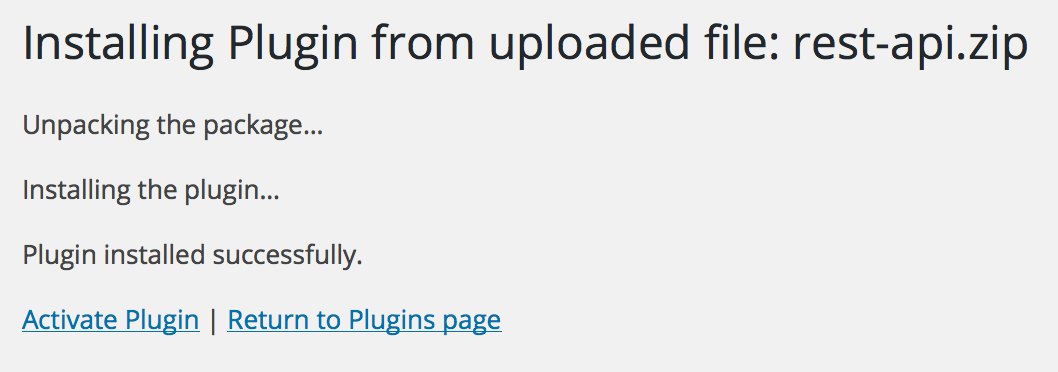 Screenshot of successful REST API plugin installation from uploaded file.
