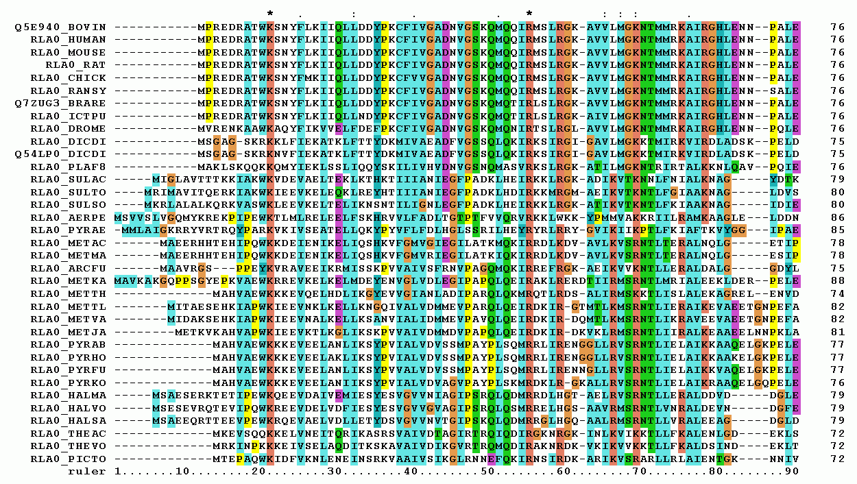 multiple sequence alignment