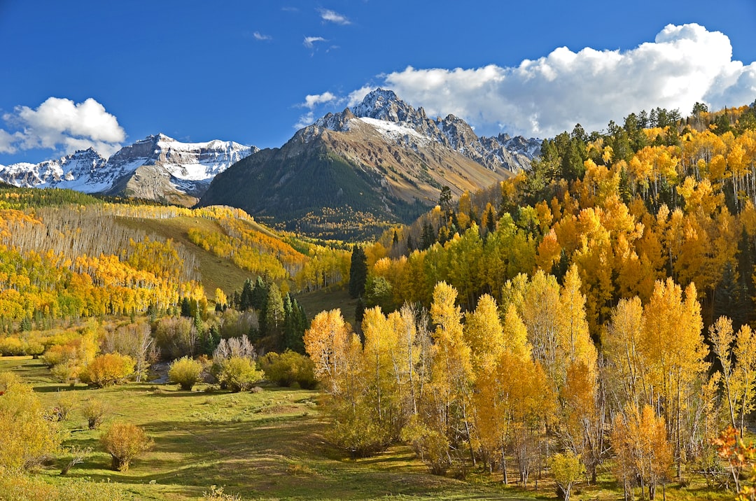 green and beige trees beside mountains