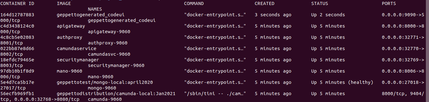 docker conatiner status