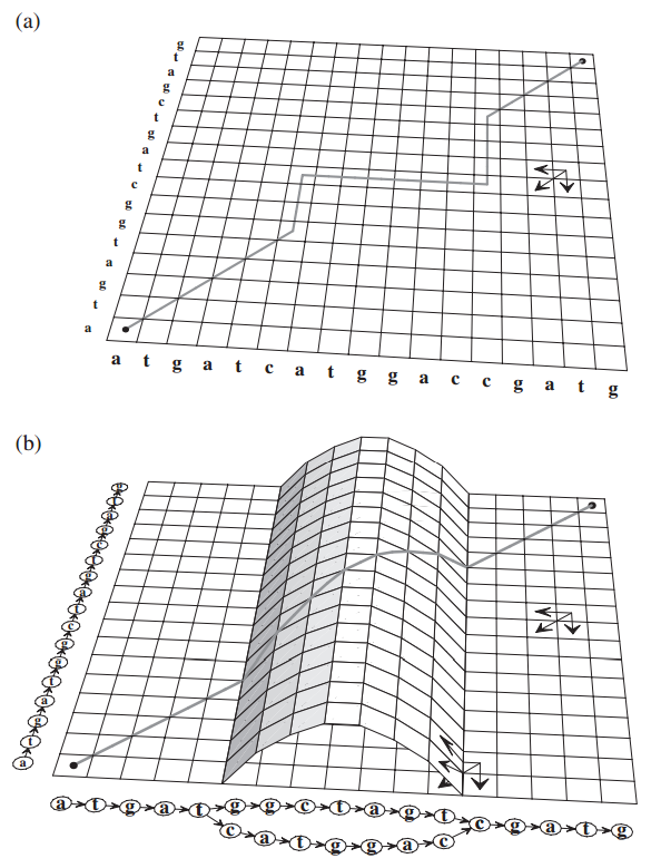 partial order alignment