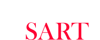 Gamze's Art