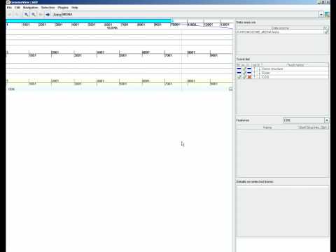 Load Video Data
