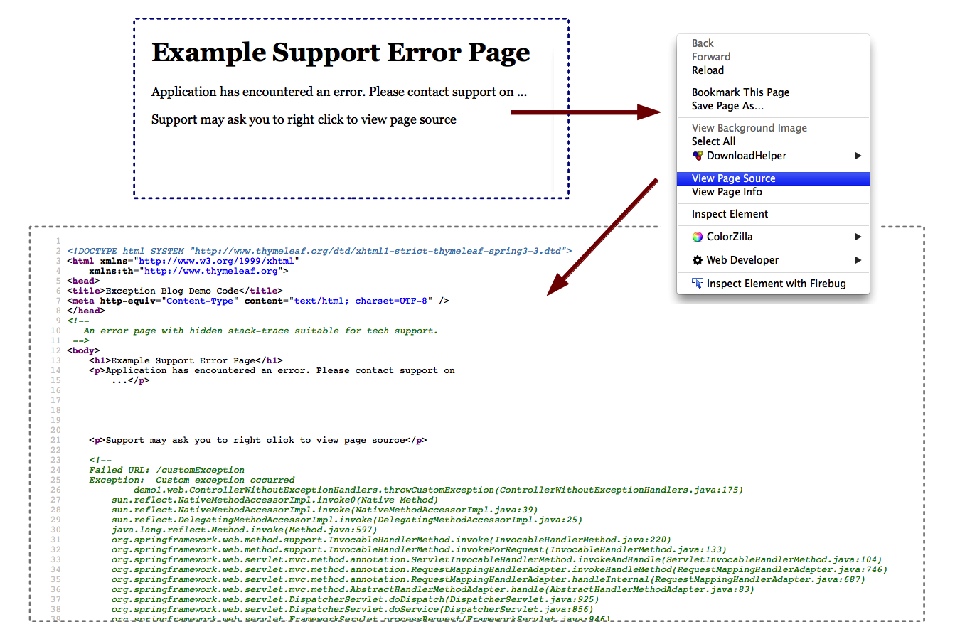 Example of an error page with a hidden exception for support