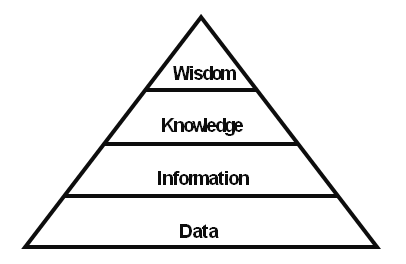 Data, Information, Knowledge, Wisdom