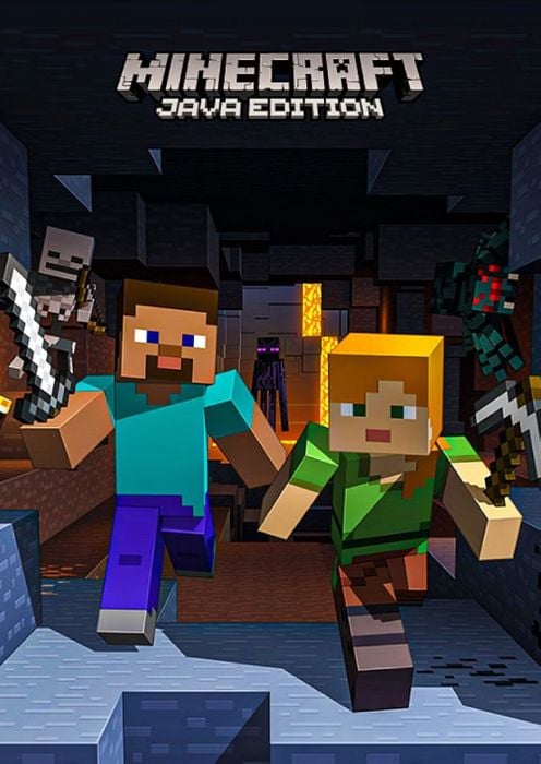 Minecraft Java Cover