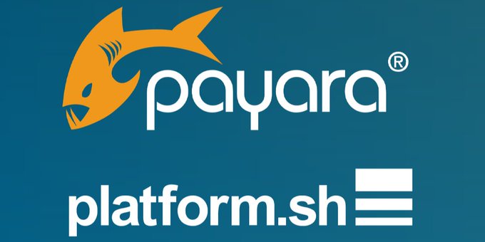 Hello World Platform.sh and Payara