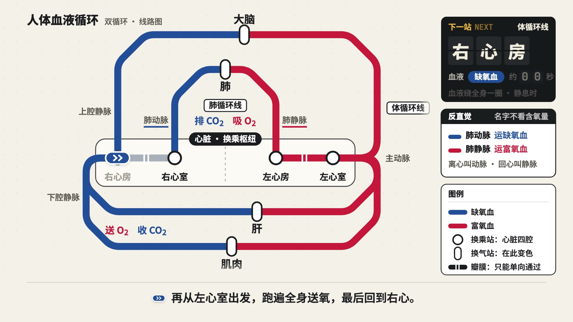 地铁线路图 · 科普讲解 · 横屏