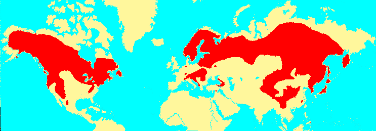 spruce range on Earth from The Gymnosperm Database