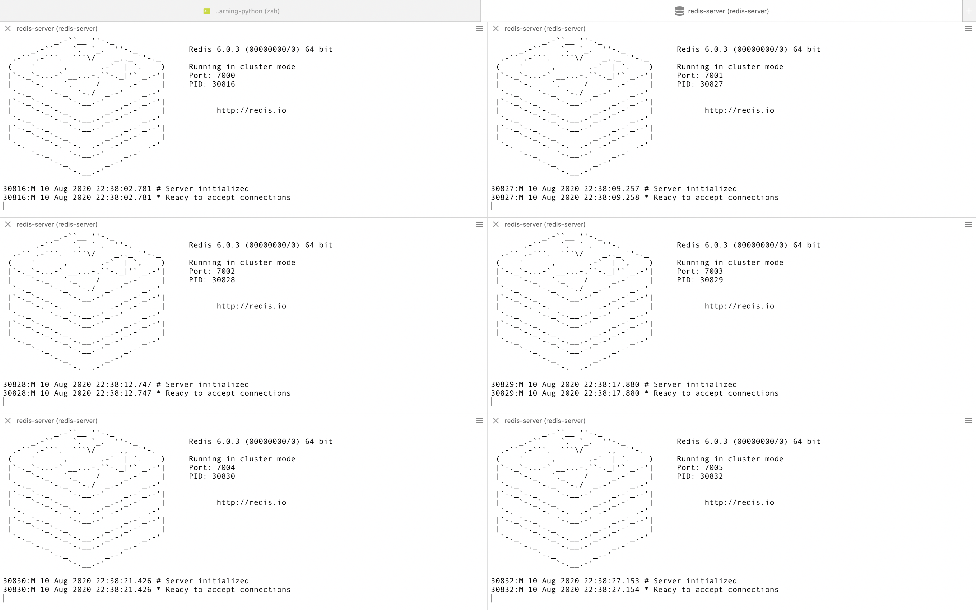 redis-cluster