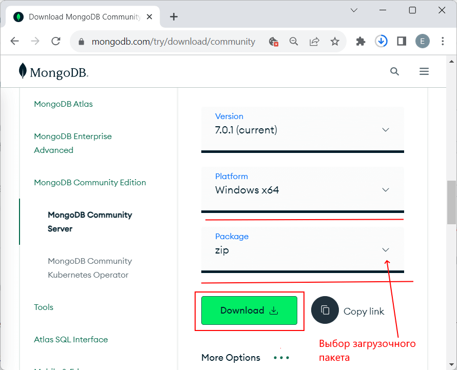 Downloading MongoDB