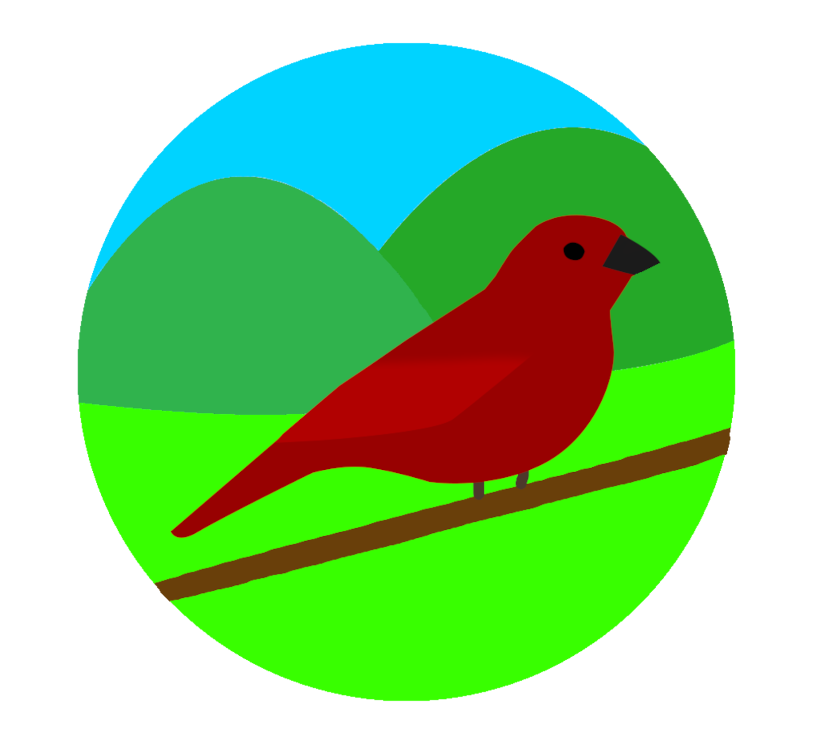 Canary logo