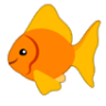 goldfish