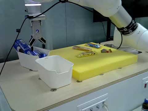 Demo Video