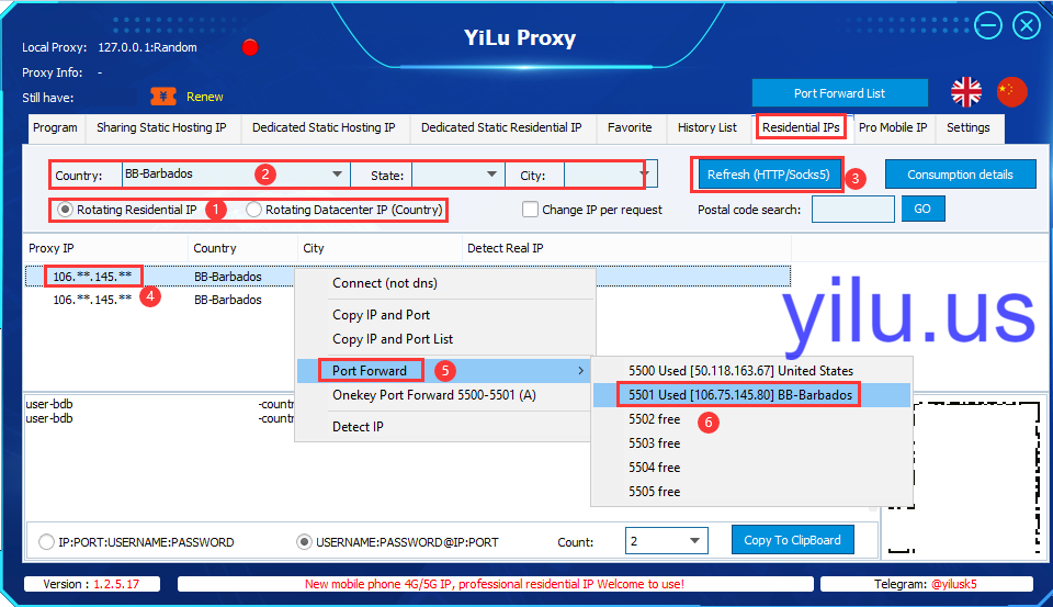 cURL with Proxy