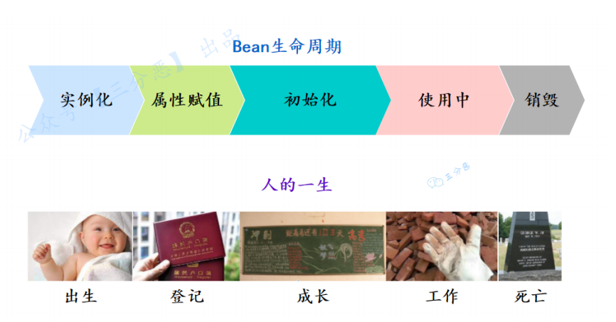 三分恶面渣逆袭：bean 的一生