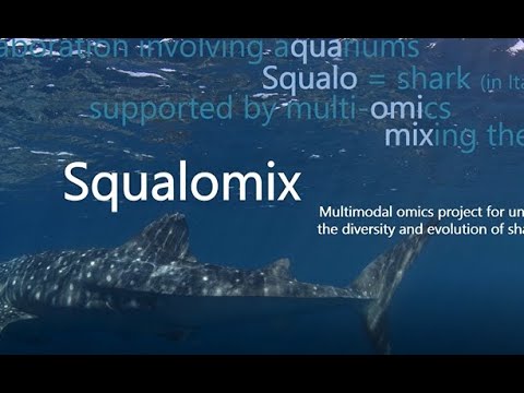 Squalomix trailer movie on YouTube