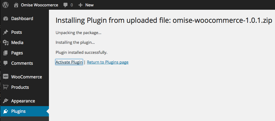 Activate Plugin