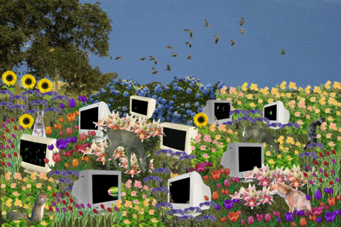 psychedelic gif of computers in a field of flowers and wildlife