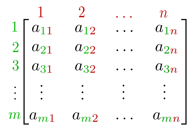 An m × n matrix