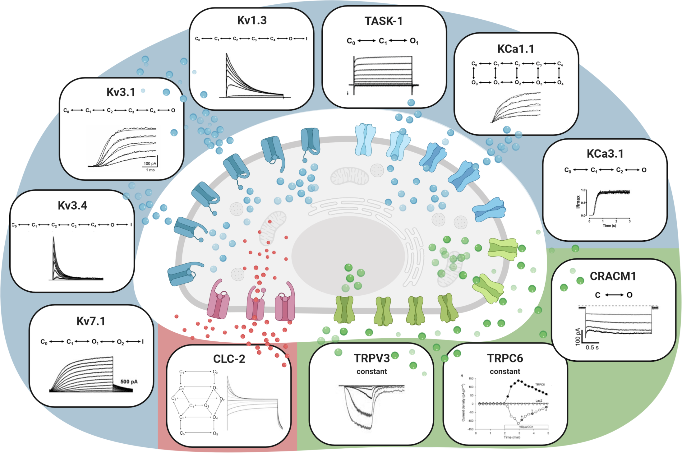 Ion Channels