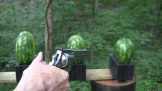 500 Magnum vs Watermelons