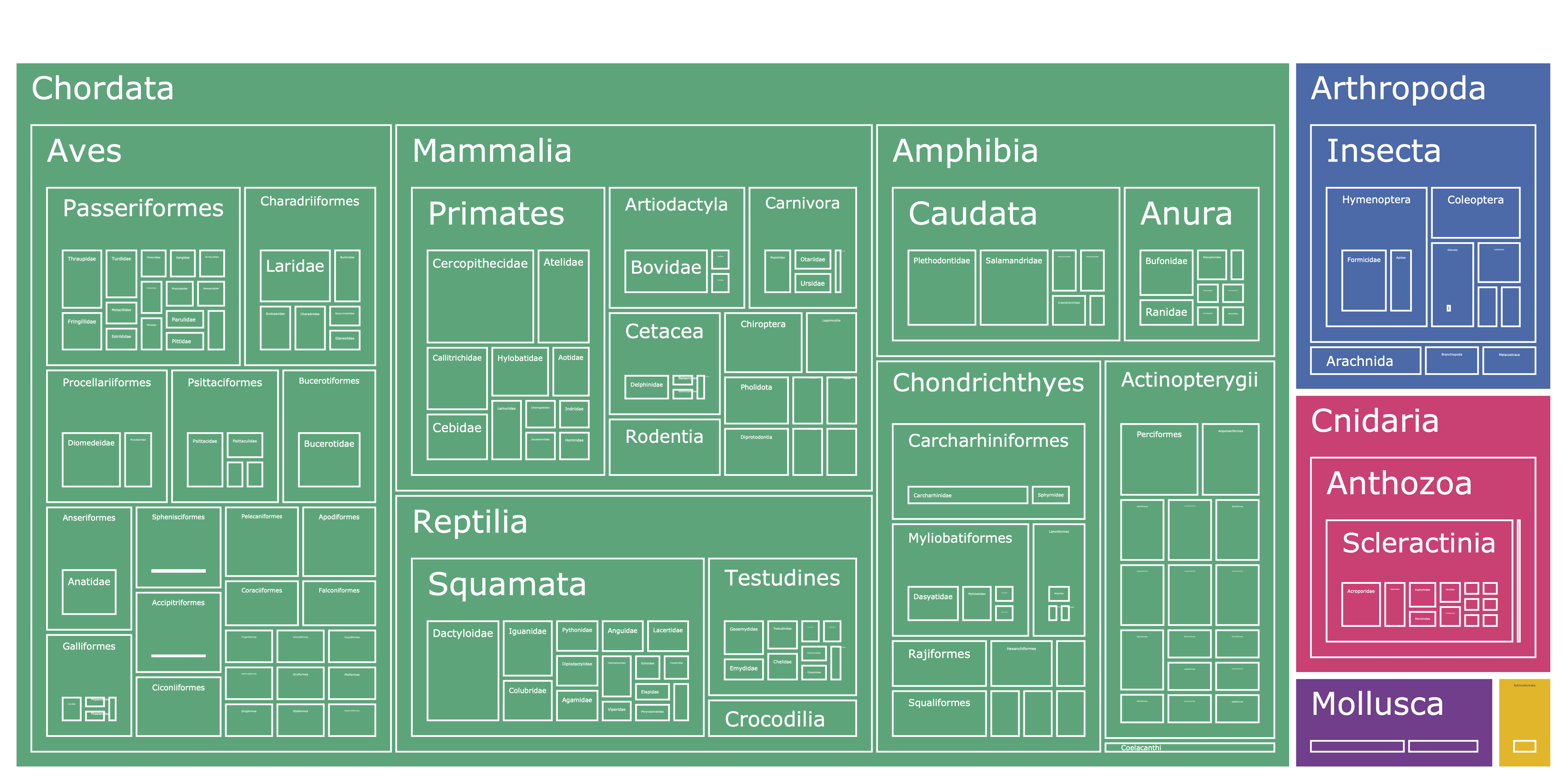 treemap from phyla down to family