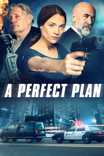a-perfect-plan-1354480-1
