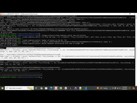 CLI-wallet - Demo part 3/3