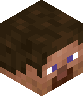 head_steve_test