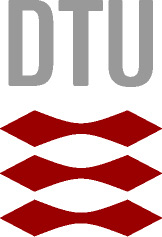 Denmark Technical University