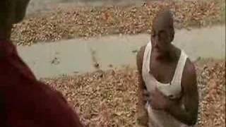 " I got these cheese burgers"