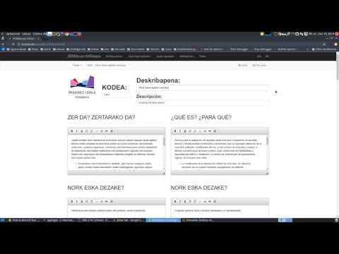 Zerbikat aplikazioaren demo bideo bat