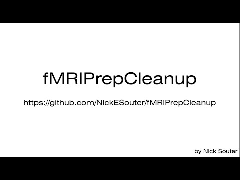 Link to 'fMRIPrepCleanup: Instructions for use' video