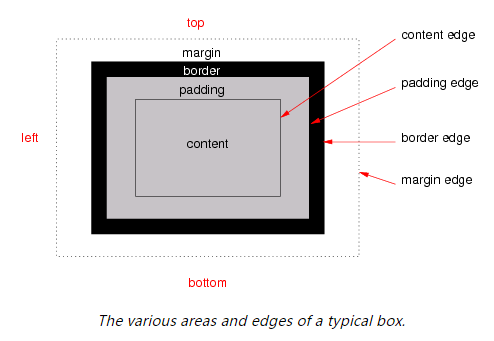 CSS Box Model