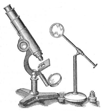 microscope