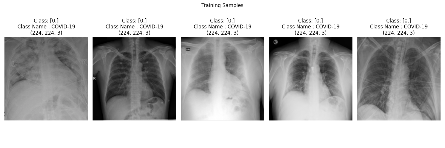 Samples from the Train Datasets