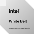 Product Assurance and Security White Belt
