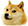 doge