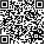 QR Preview