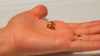 Miniature Origami Robot Self-folds, Walks, Swims, and Degrades