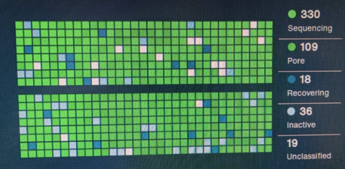 ONT sequencing