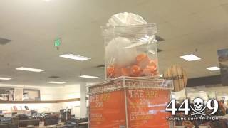 How you know its Christmas in Arizona : 