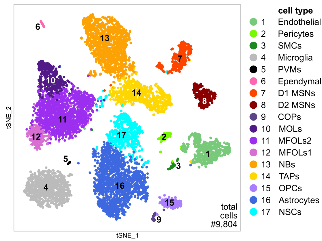 GitHub - YutingPKU/PaperWork-scRNA-GSE111527-mouseSVZ: Reanalyze of ...