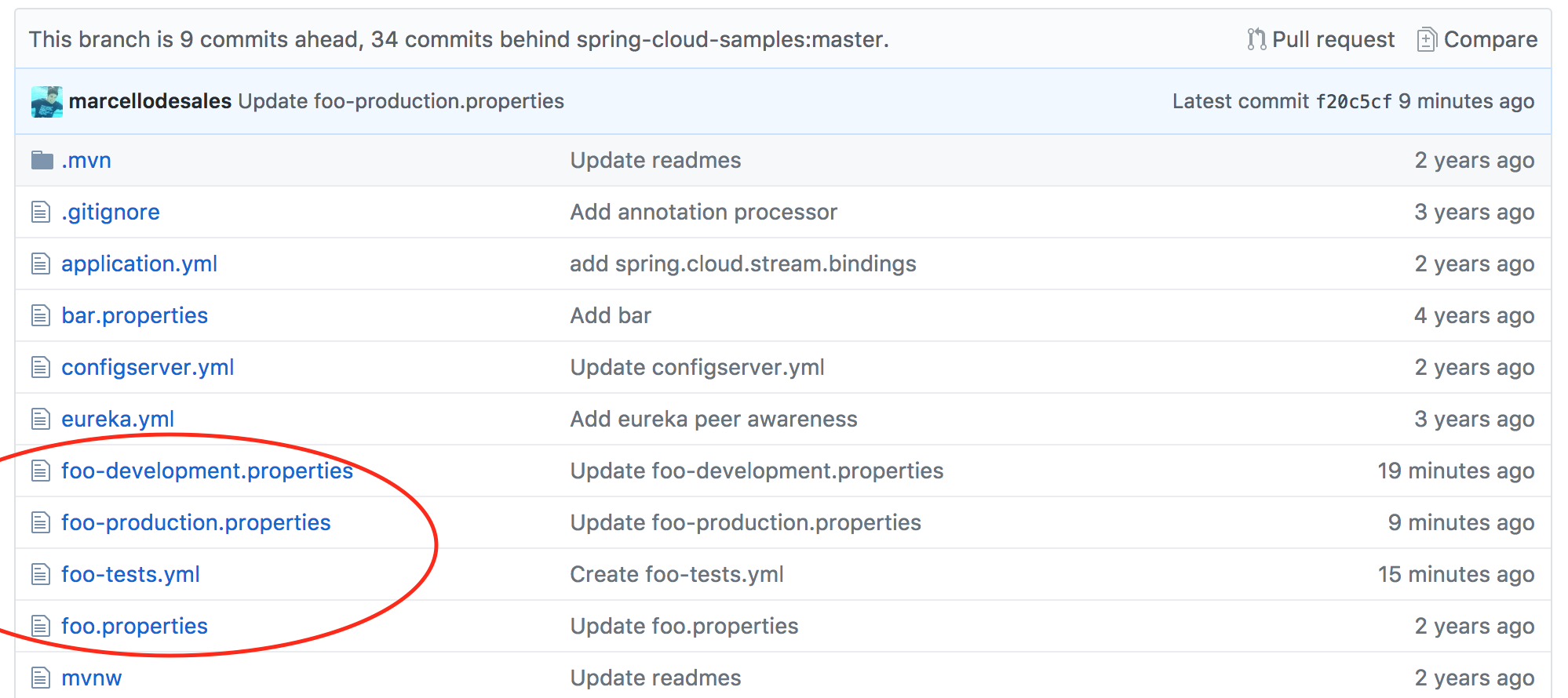 Github Repo Setup