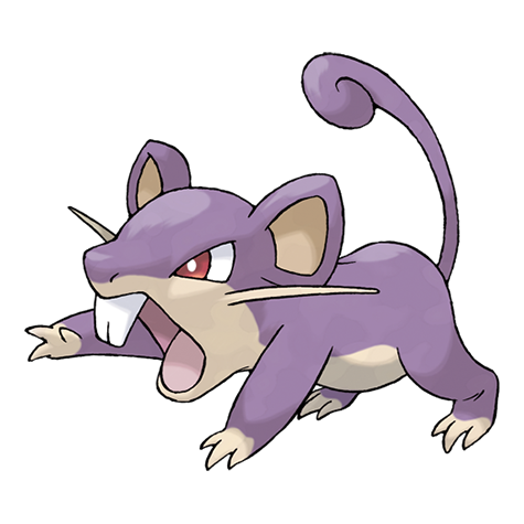 Rattata