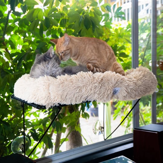 hipcat-cat-window-perch-with-free-cat-toy-cat-bed-comfy-cat-hammock-cat-shelf-extra-strong-suction-w-1