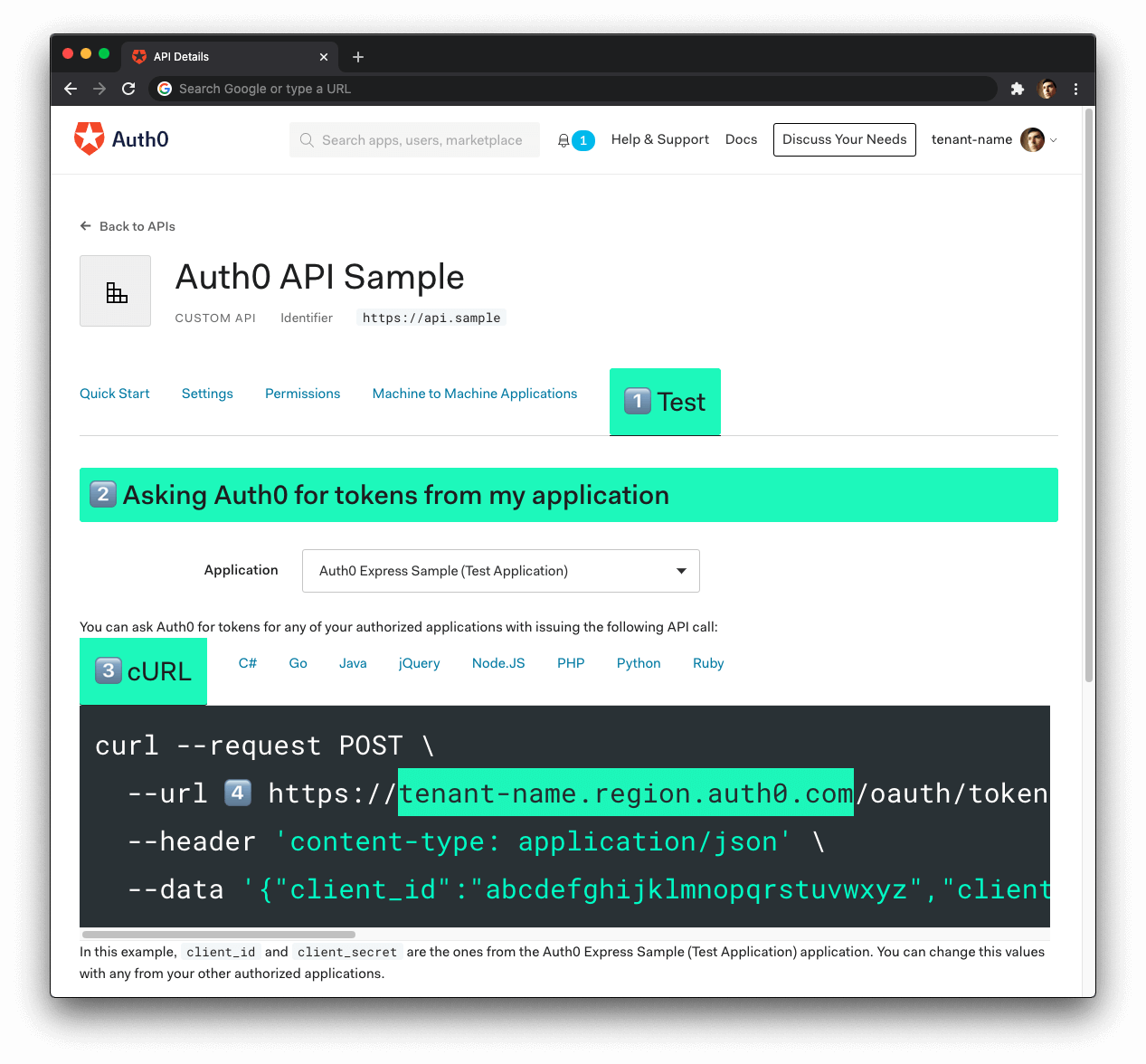 Get the Auth0 Domain to configure an API