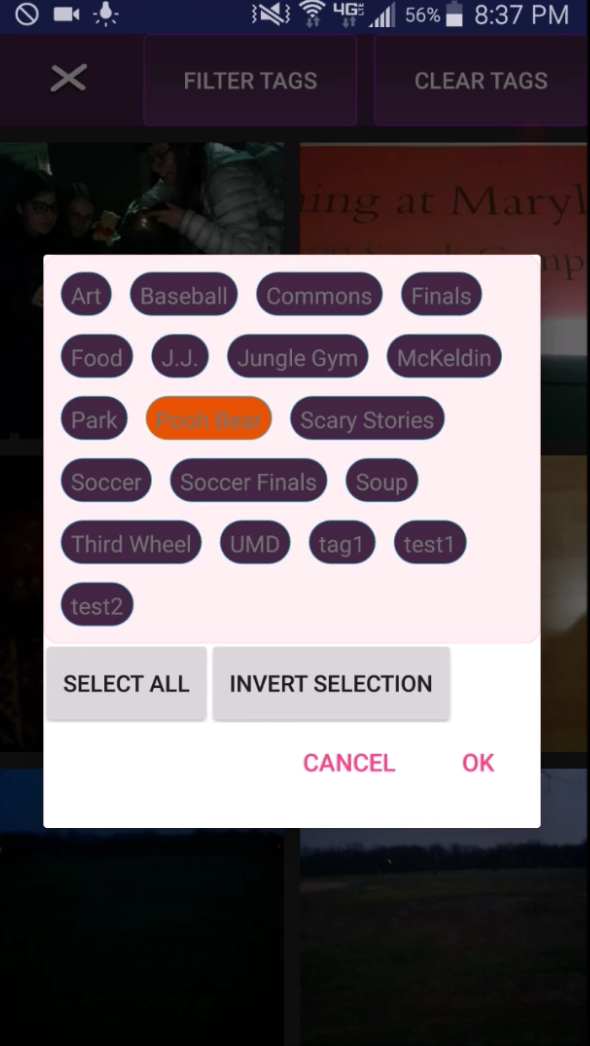 alt tag